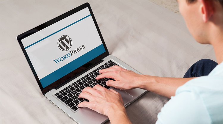 Tvorba webových stránek ve WordPressu - Jeho hlavní výhody